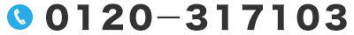 0120-317103